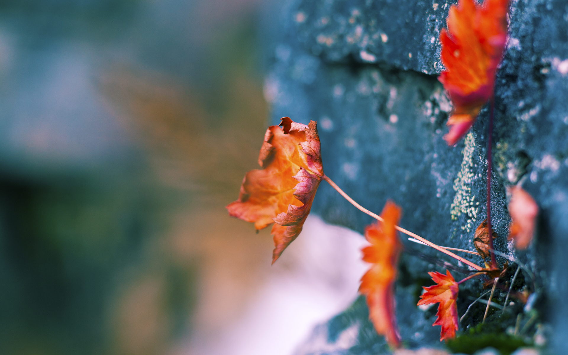 乐鱼体育登录入口-2024年埃及队表现:逐步向国际乒乓强队靠拢,埃及乒乓球厉害吗