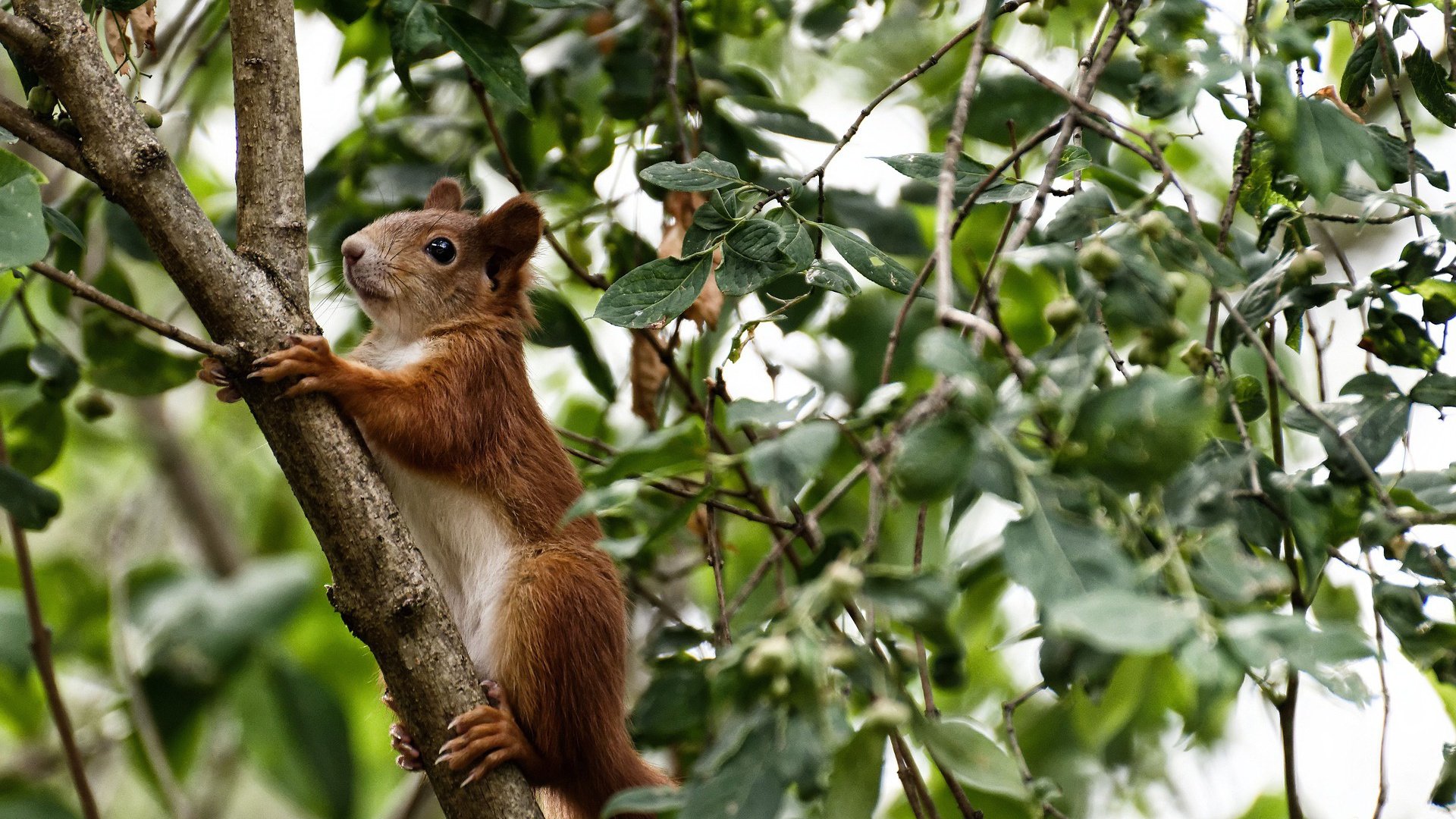 乐鱼体育在线官网-CBA球队多方合作 推动篮球文化发展,cba球队分析