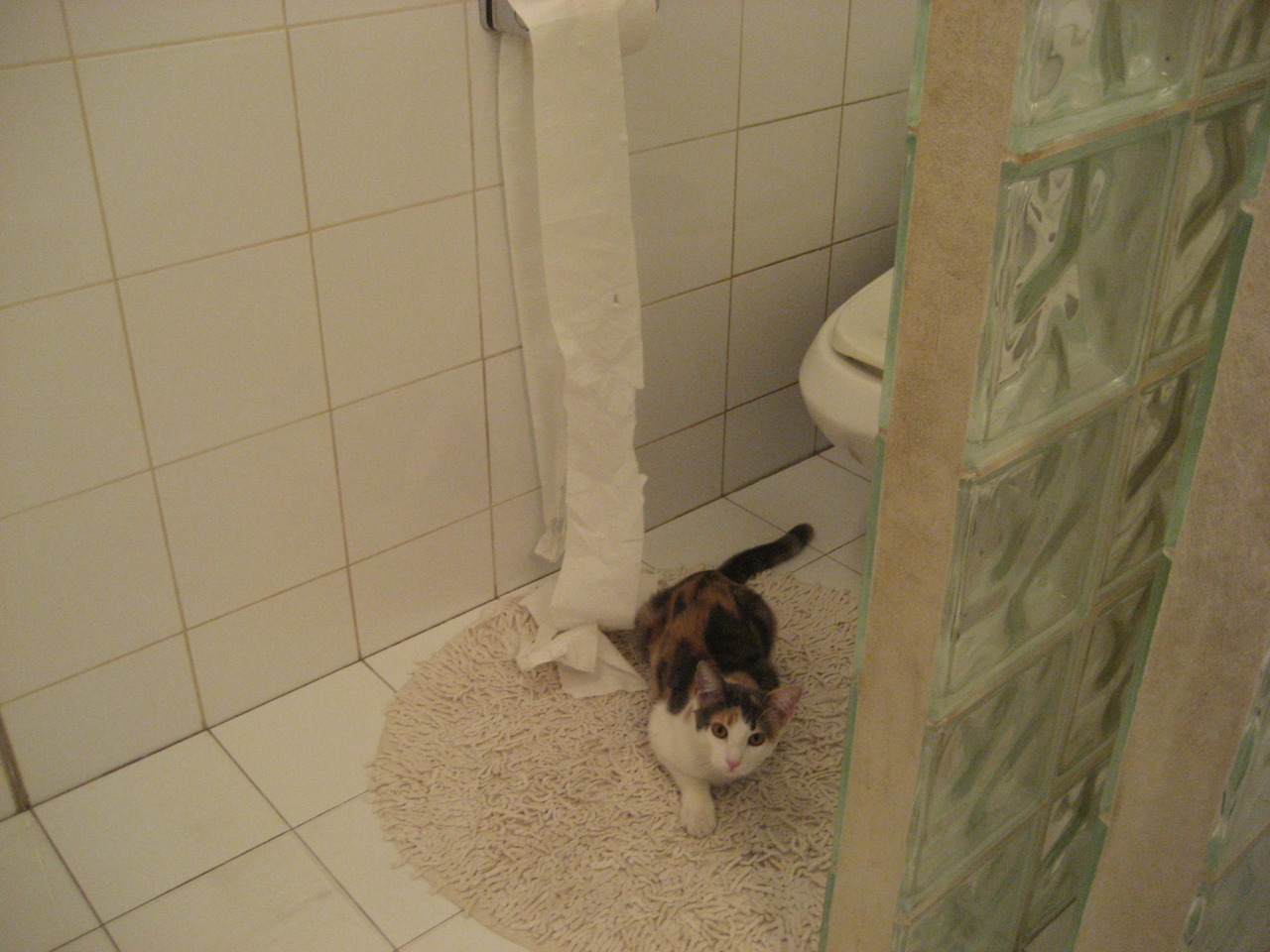 乐鱼体育在线入口-中国女篮强化攻防转换速度,中国女篮专机