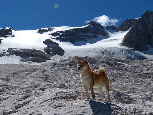 乐鱼体育平台-雷恩以高效传控压制对手节奏变化，雷恩阵型