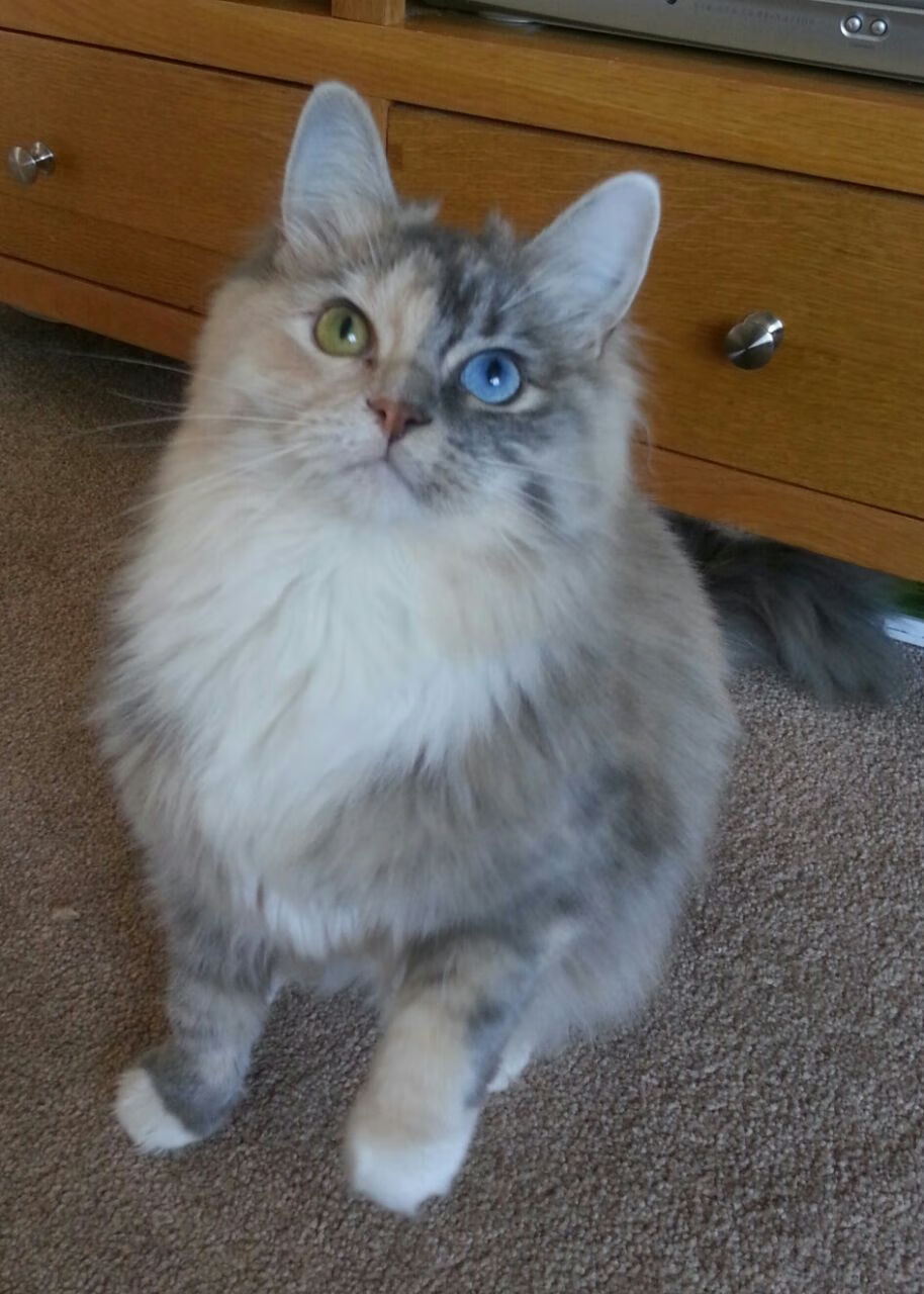 乐鱼体育入口-威少防守积极频繁抢断成为奇才防守尖兵，威少防守能力